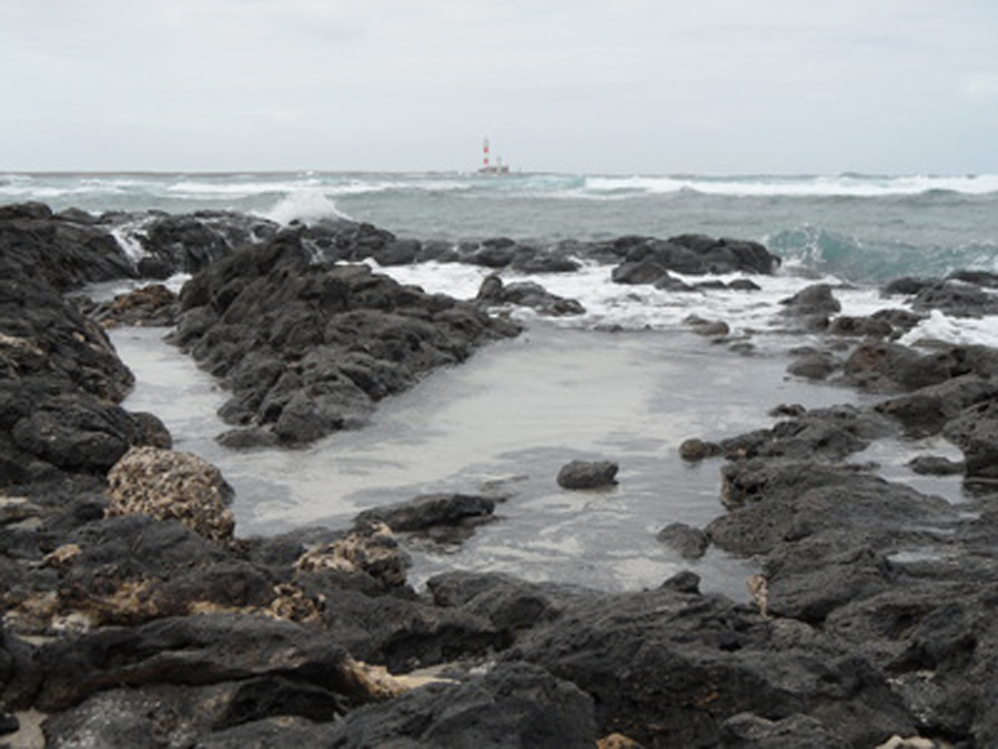 Windsurfen und Kitesurfen in Punta Blanca auf Fuerteventura