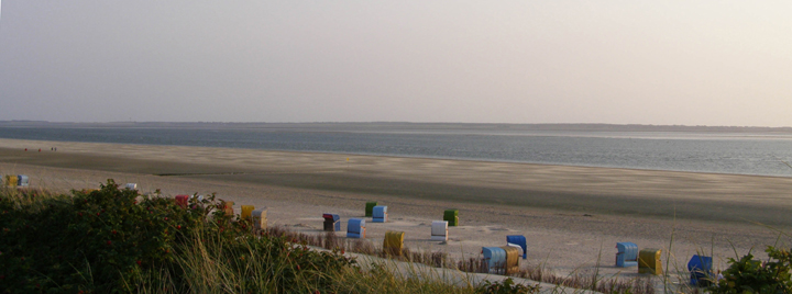 Windsurfen und Kitesurfen auf Föhr