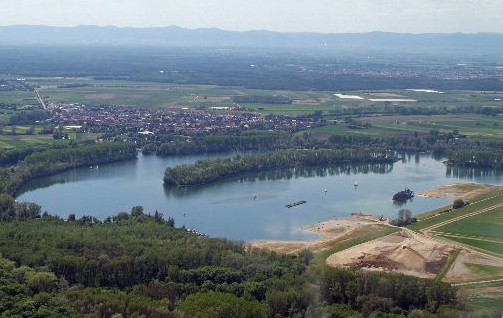 Der Altrhein in Otterstadt