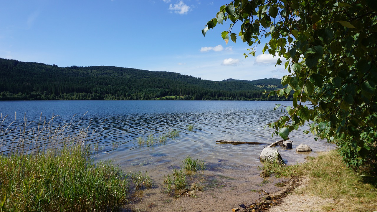 Windsurfen am Schluchsee></div>
</p>
<table border=