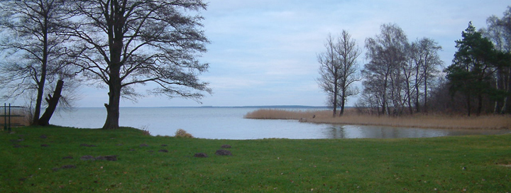 Windsurfen und Kitesurfen an der Müritz