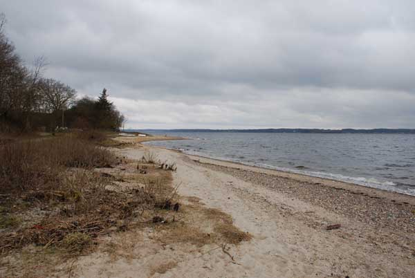 Windsurfen und Kitesurfen in Beckerwerft