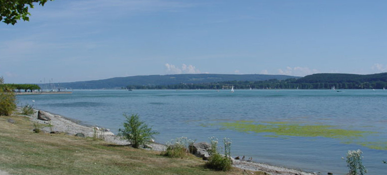 Windsurfen und Kitesurfen in Radolfzell