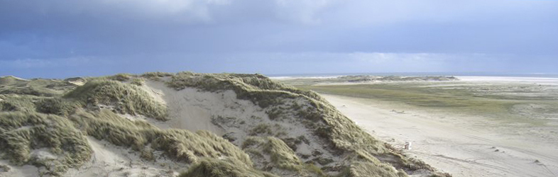 Windsurfen und Kitesurfen in Schleswig-Holstein