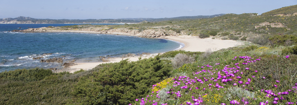 Bucht von Cala Pischina auf Sardinien