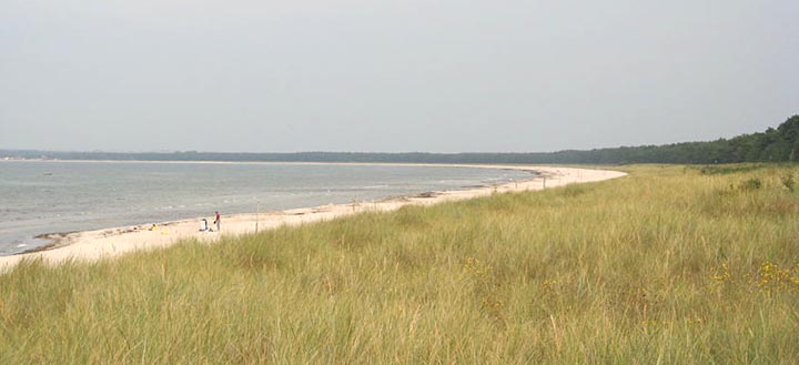 Windsurfen und Kitesurfen in Glowe Rügen