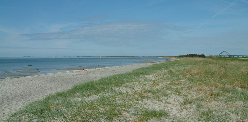 Windsurfen und Kitesurfen in Schleswig-Holstein