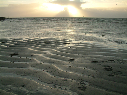 Die flache Bucht gibt nur Kabbelwelle her