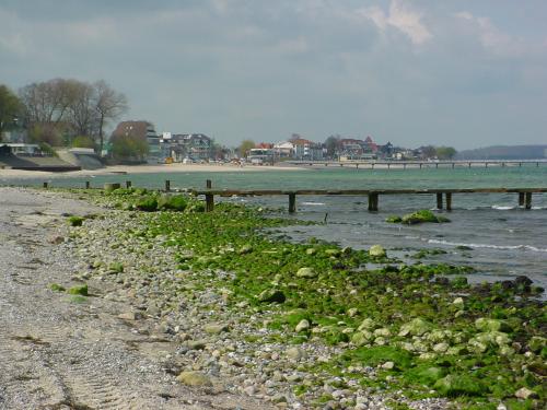 Niendorf 1.jpg