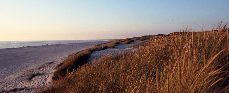 Henne Strand 1.jpg