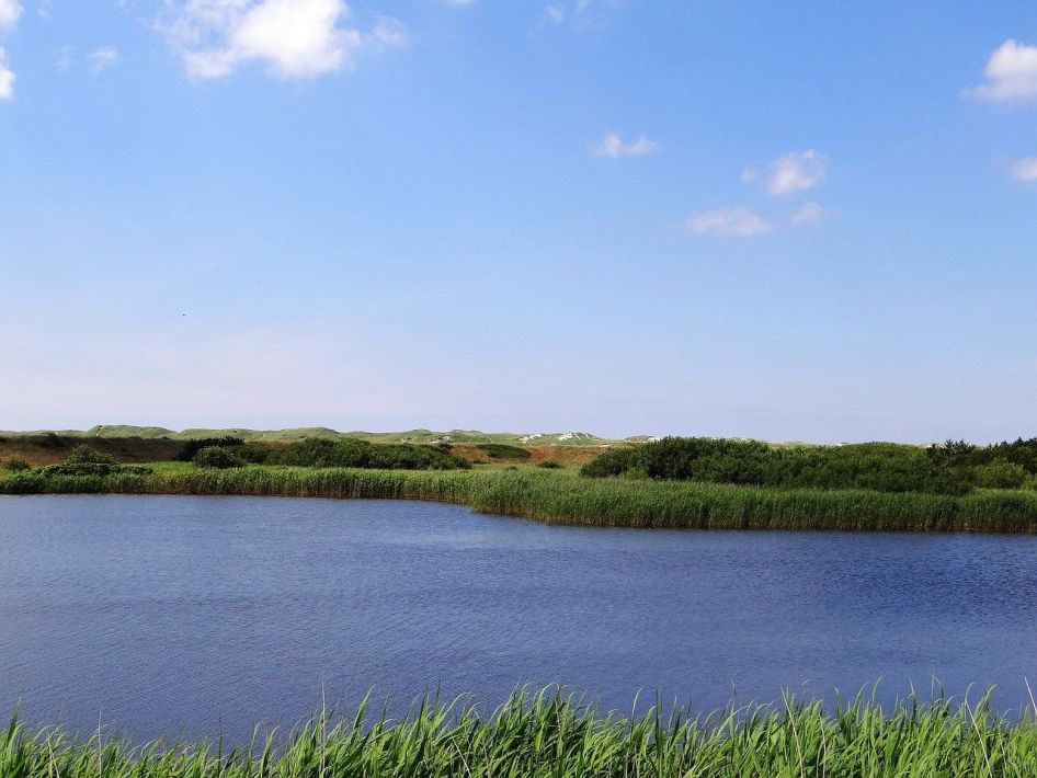 Windsurfen und Kitesurfen in Ringkøbing