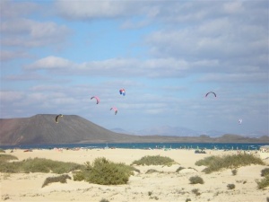 Die Insel Los Lobos im Hintergrund