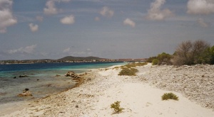 Bonaire 01.jpg