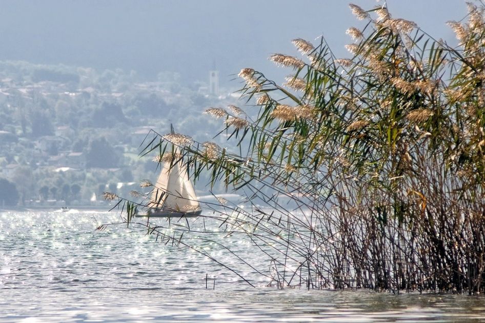 Windsurfen und Kitesurfen in La Punta - Comer See