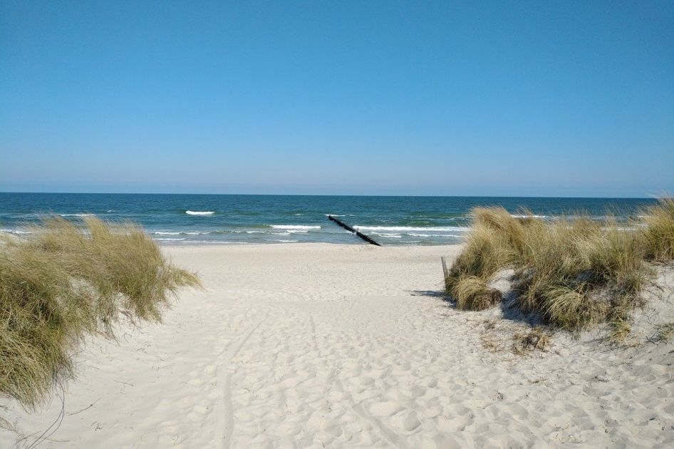 Windsurfen und Kitesurfen in Zingst Darss