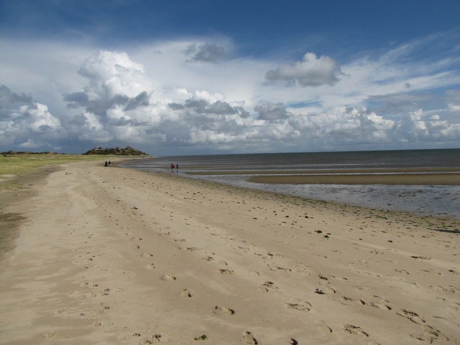 Windsurfen und Kitesurfen in Schleswig-Holstein