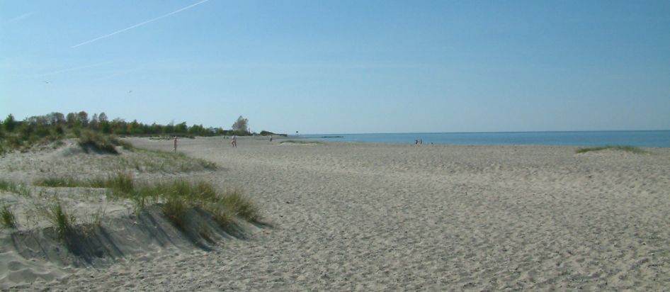 Windsurfen und Kitesurfen in Heiligenhafen Graswarder