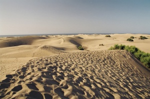 Maspalomas.jpg