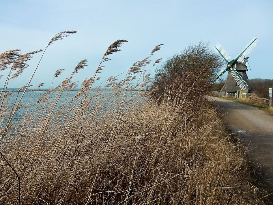 Windsurfen und Kitesurfen in Wackerballig