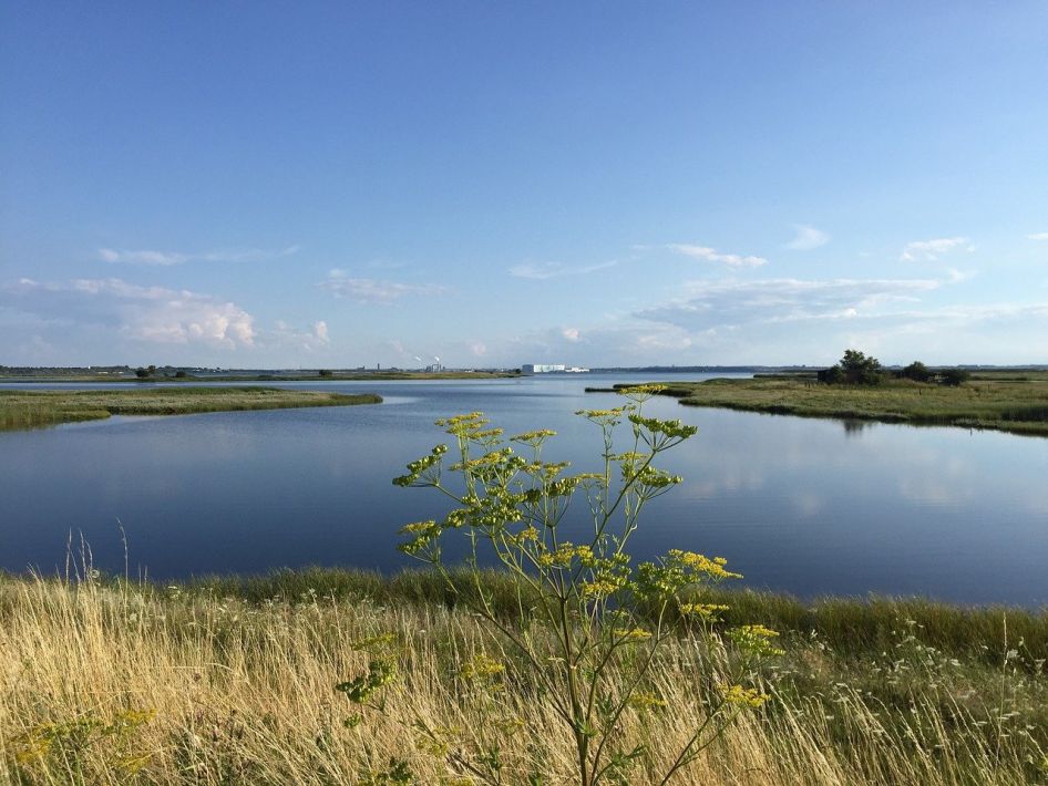 Windsurfen und Kitesurfen in Beckerwitz