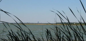 Cospudenersee 1.jpg