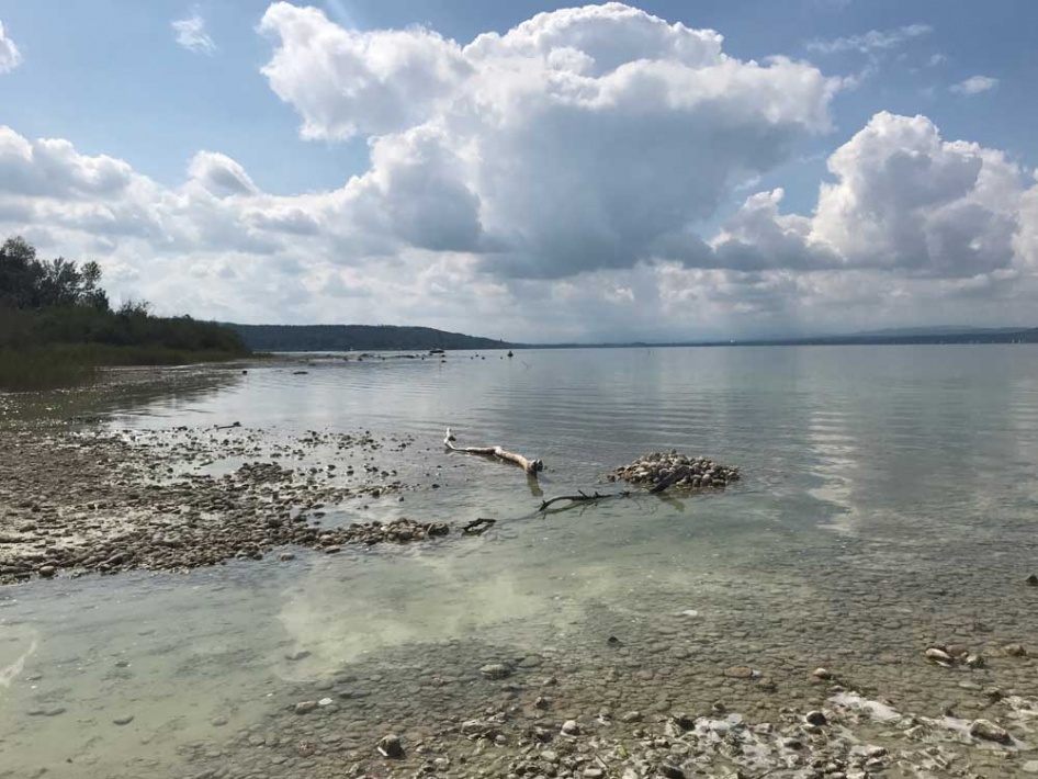 Windsurfen und Kitesurfen in Herrsching am Ammersee