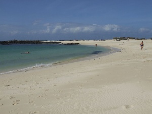 Cotillo 5.jpg