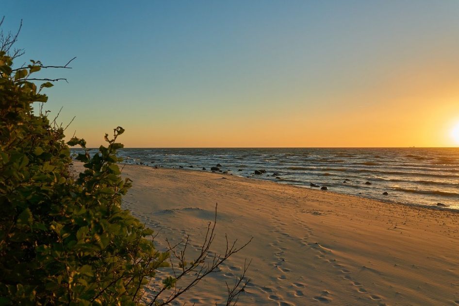 Windsurfen und Kitesurfen in Nonnevitz Rügen